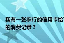 我有一张农行的信用卡给了儿子一张副卡怎么才能查到副卡的消费记录？