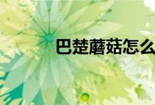 巴楚蘑菇怎么食用（巴楚蘑菇）