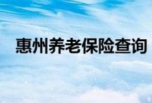 惠州养老保险查询 惠州个人养老保险查询