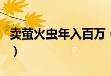 卖萤火虫年入百万（萤火虫的收购价格是多少）