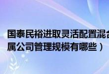 国泰民裕进取灵活配置混合基金买的人多吗（2020年基金所属公司管理规模有哪些）