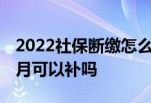 2022社保断缴怎么补缴啊 社保断缴超过三个月可以补吗 
