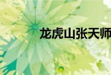 龙虎山张天师（龙虎山张天师）