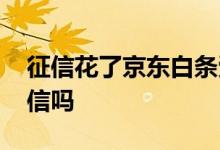 征信花了京东白条受影响 京东白条会弄花征信吗