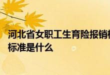 河北省女职工生育险报销标准 沧州市生育保险女职工的报销标准是什么 