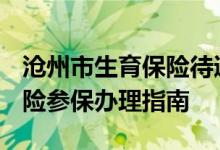 沧州市生育保险待遇申请表 2022沧州生育保险参保办理指南 