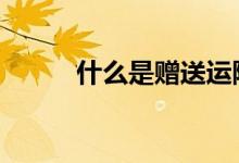 什么是赠送运险费 什么是运险费