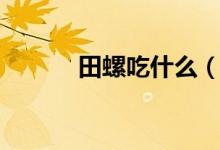 田螺吃什么（田螺吃什么食物）