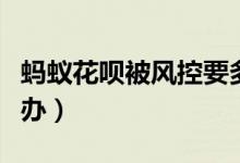 蚂蚁花呗被风控要多久（蚂蚁花呗被风控怎么办）