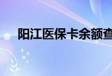 阳江医保卡余额查询 阳江医疗保险查询