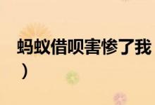 蚂蚁借呗害惨了我（违规行为千万不能触碰！）