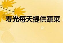 寿光每天提供蔬菜（确保大城市调供稳价）