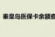 秦皇岛医保卡余额查询 秦皇岛医疗保险查询