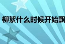 柳絮什么时候开始飘（开始飘柳絮是几月份）