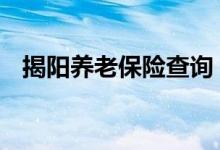 揭阳养老保险查询 揭阳个人养老保险查询