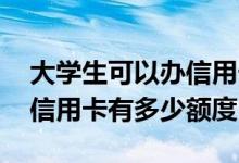 大学生可以办信用卡额度是多少 大学生去办信用卡有多少额度