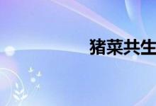 猪菜共生系统（猪菜）