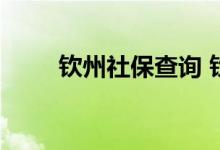 钦州社保查询 钦州个人社保卡查询