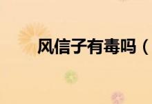 风信子有毒吗（风信子对人有害吗）