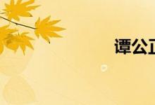 谭公正（谭公）