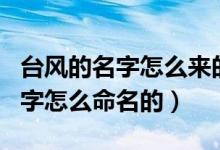 台风的名字怎么来的为什么叫台风（台风的名字怎么命名的）