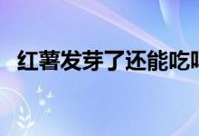 红薯发芽了还能吃吗（发芽的红薯有毒吗）