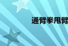 通臂拳甩臂教学（通臂拳）