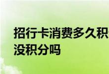 招行卡消费多久积分出来 招行卡在超市消费没积分吗