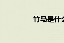竹马是什么意思（竹马）