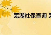 芜湖社保查询 芜湖个人社保卡查询