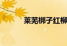 莱芜梆子红柳绿柳（莱芜梆子）