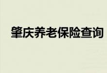 肇庆养老保险查询 肇庆个人养老保险查询