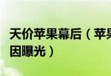 天价苹果幕后（苹果等农产品价格居高不下原因曝光）