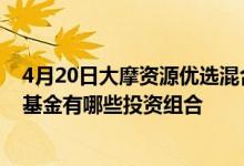 4月20日大摩资源优选混合(LOF)最新单位净值为1.0493元基金有哪些投资组合