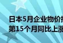 日本5月企业物价指数同比增长9.1%为连续第15个月同比上涨