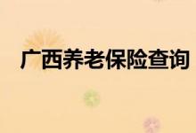 广西养老保险查询 广西个人养老保险查询