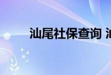 汕尾社保查询 汕尾个人社保卡查询