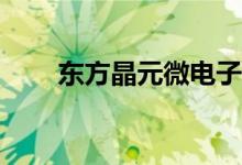 东方晶元微电子的股票代码是多少？