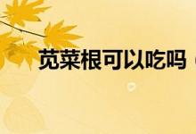 苋菜根可以吃吗（苋菜根可不可以吃）
