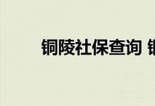 铜陵社保查询 铜陵个人社保卡查询