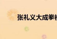 张礼义大成拳视频全集（张礼义）
