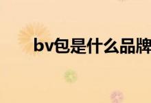 bv包是什么品牌（bv包是什么牌子）