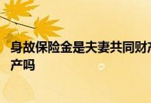 身故保险金是夫妻共同财产吗 意外险保险金属于夫妻共有财产吗