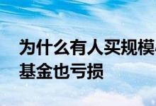 为什么有人买规模小的纯债基金 为什么纯债基金也亏损
