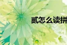 贰怎么读拼音（贰怎么读）