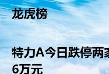 龙虎榜|特力A今日跌停两家机构席位合计净卖出6876万元