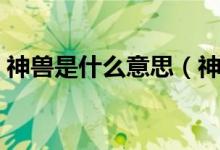 神兽是什么意思（神兽是什么意思网络用语）