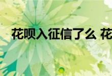 花呗入征信了么 花呗变成信用购上征信吗
