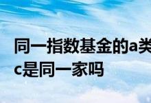同一指数基金的a类和c类 同一指数基金的a和c是同一家吗