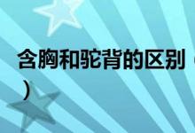 含胸和驼背的区别（含胸和驼背的区别是什么）